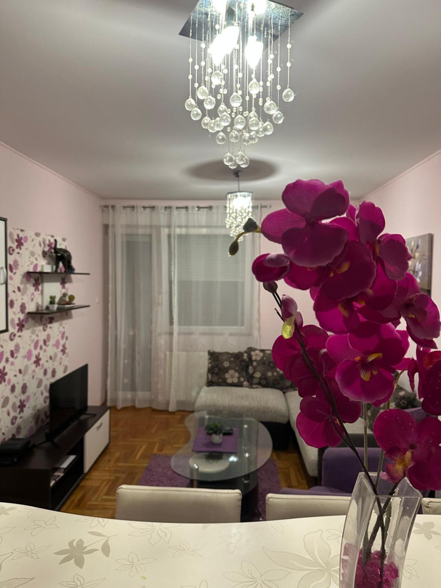 Apartman Ivana Apartamento Novi Sad Exterior foto