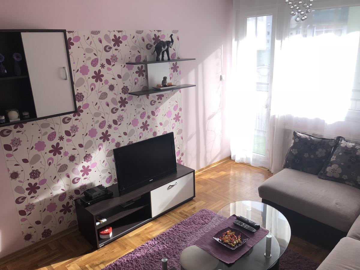 Apartman Ivana Apartamento Novi Sad Exterior foto